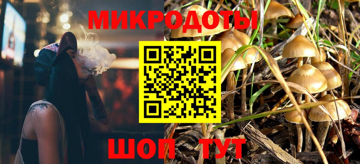 Галлюциногенные грибы Psilocybine cubensis Заводоуковск