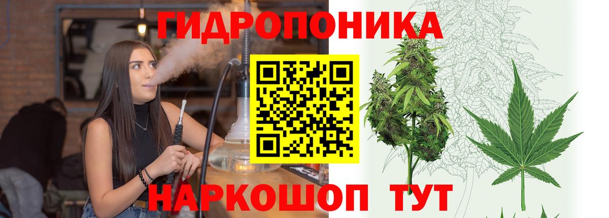 Бошки марихуана семена Заводоуковск